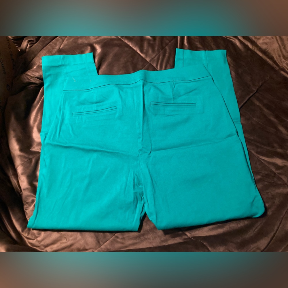 Maurices brand, size 16,gorgeous shade of green, cute and comfy pants - Picture 7 of 7